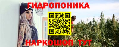 крисы Краснокаменск