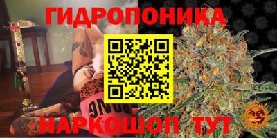 спиды Краснодар